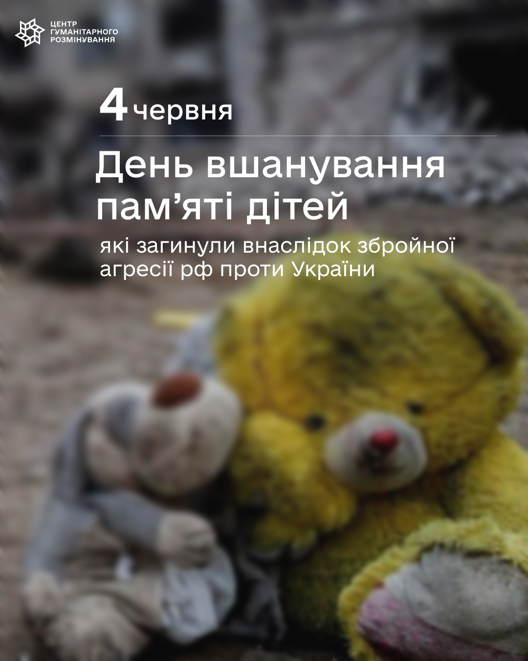 Gallery photo 8