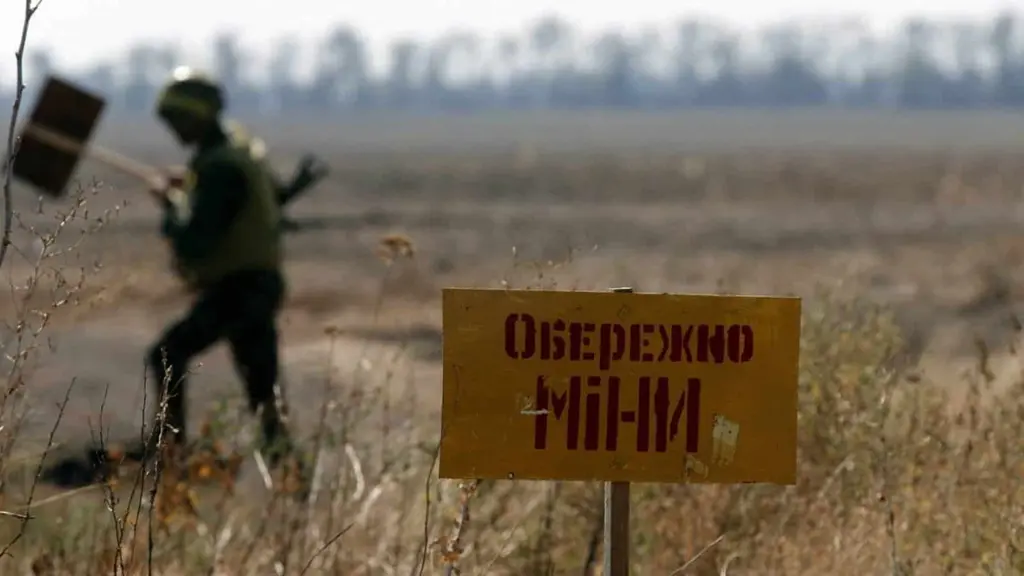 Миколаївщина — серед лідерів у розмінуванні за 2024 рік