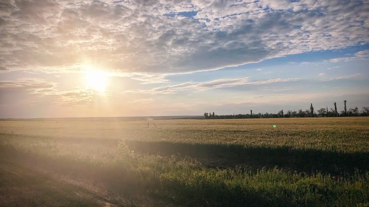 Перші запити на компенсації за розмінування с/г земель: понад 60 фермерів подали заявки на участь в програмі