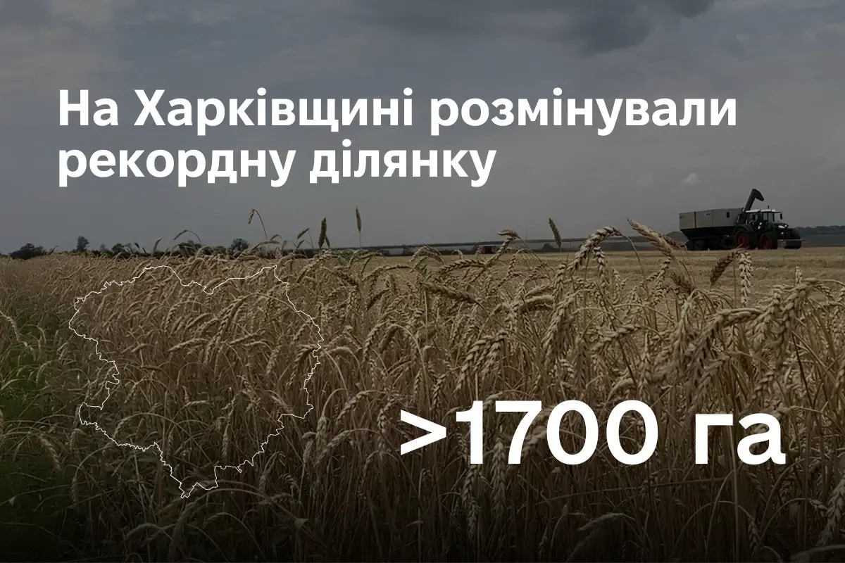 Розмінування агроземель: рекордну ділянку очистили на Харківщині